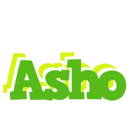 Asho picnic logo