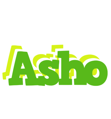 Asho picnic logo