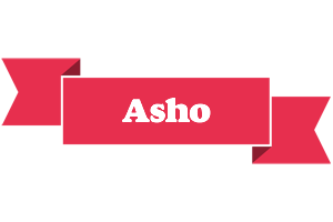 Asho sale logo