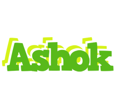 Ashok picnic logo