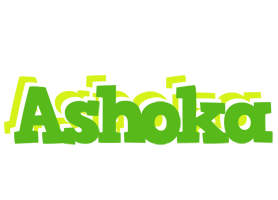 Ashoka picnic logo