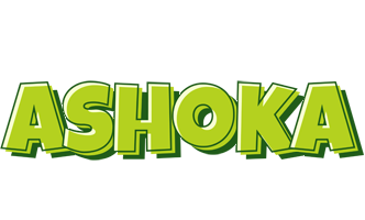 Ashoka summer logo