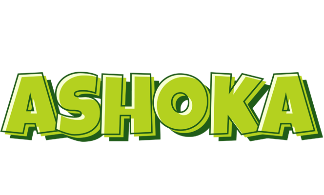 Ashoka summer logo
