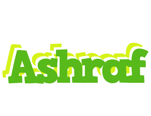 Ashraf picnic logo
