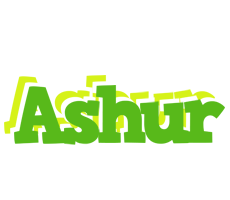 Ashur picnic logo