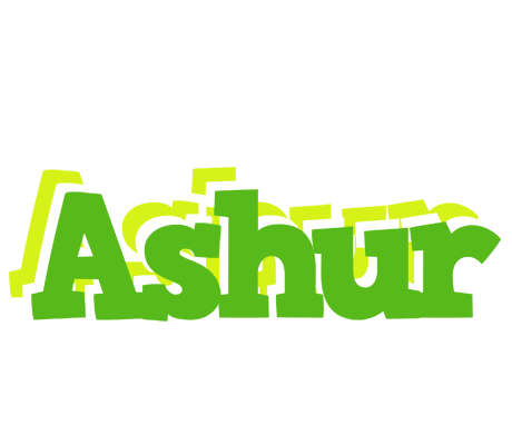 Ashur picnic logo