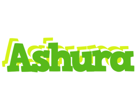 Ashura picnic logo