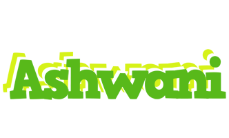 Ashwani picnic logo