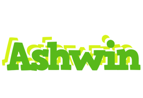 Ashwin picnic logo