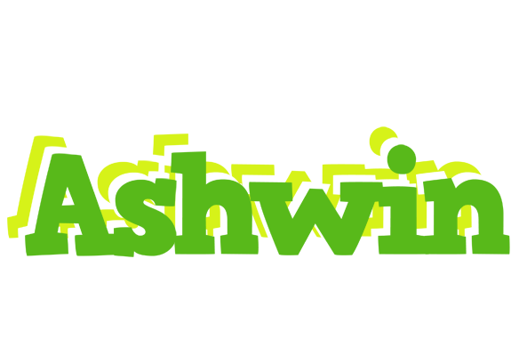 Ashwin picnic logo