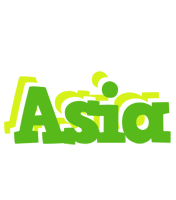 Asia picnic logo