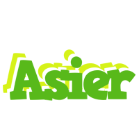 Asier picnic logo