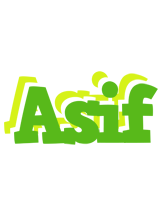 Asif picnic logo