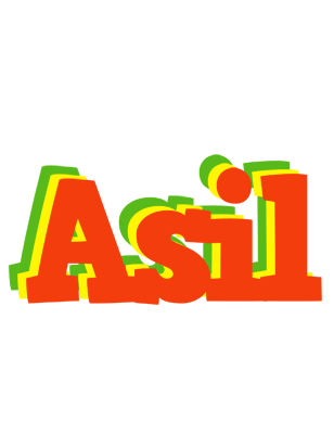 Asil bbq logo