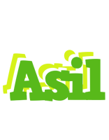 Asil picnic logo