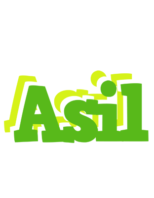 Asil picnic logo