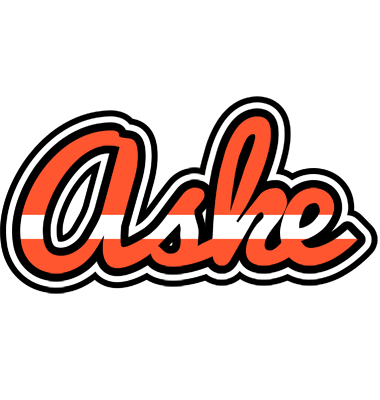 Aske denmark logo