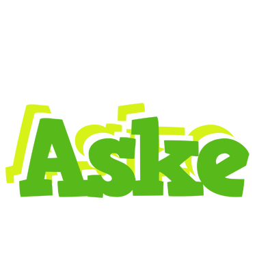 Aske picnic logo