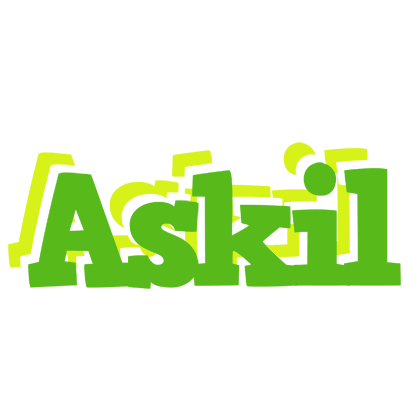 Askil picnic logo