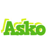 Asko picnic logo