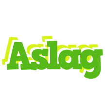 Aslag picnic logo