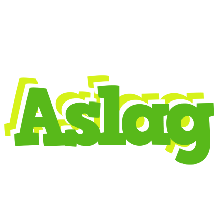 Aslag picnic logo