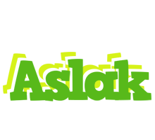 Aslak picnic logo