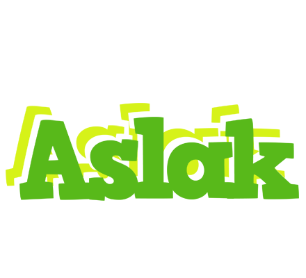 Aslak picnic logo