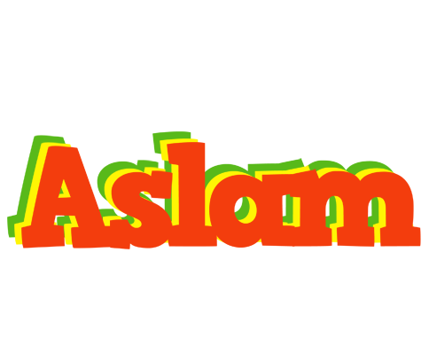 Aslam bbq logo