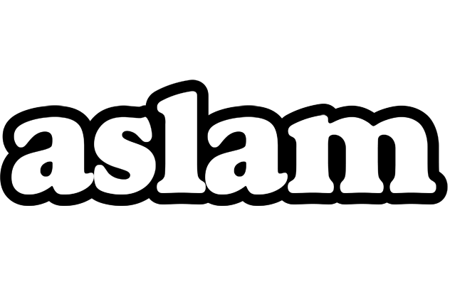 Aslam panda logo