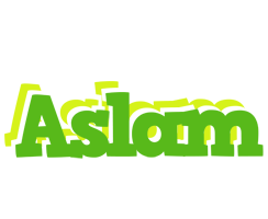 Aslam picnic logo