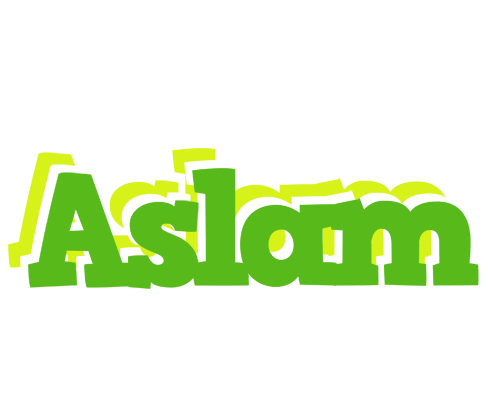 Aslam picnic logo