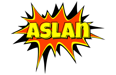 Aslan bazinga logo
