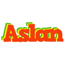 Aslan bbq logo