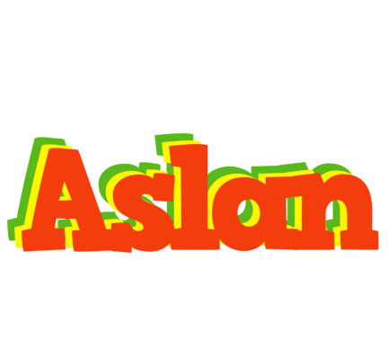 Aslan bbq logo