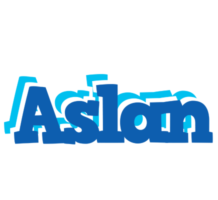 Aslan business logo