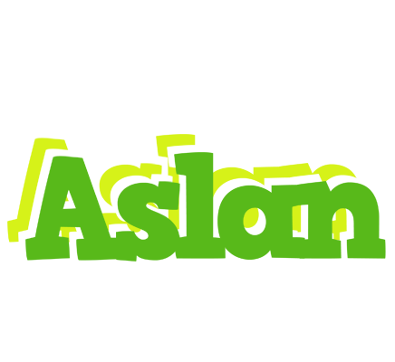 Aslan picnic logo