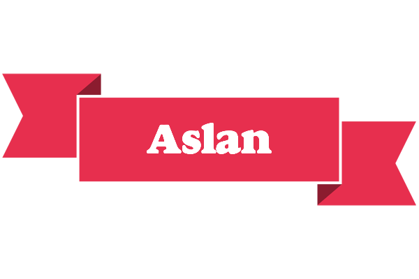 Aslan sale logo