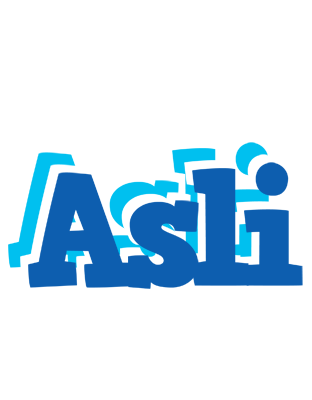 Asli business logo