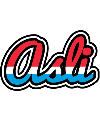 Asli norway logo