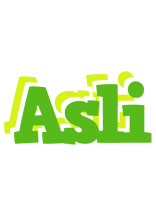 Asli picnic logo