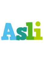 Asli rainbows logo