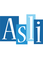 Asli winter logo