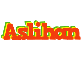 Aslihan bbq logo