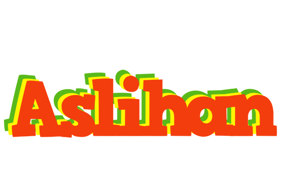 Aslihan bbq logo