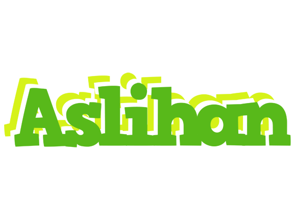 Aslihan picnic logo