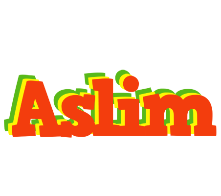 Aslim bbq logo