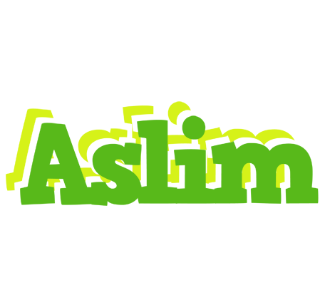 Aslim picnic logo