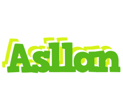 Asllan picnic logo