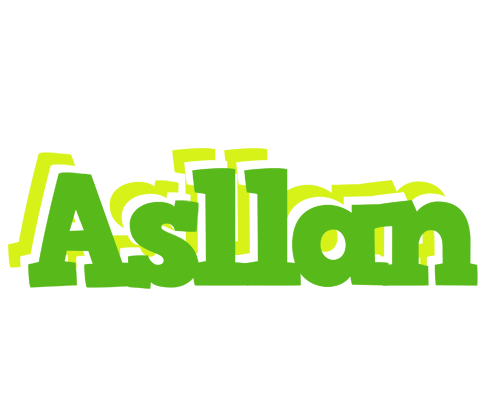 Asllan picnic logo